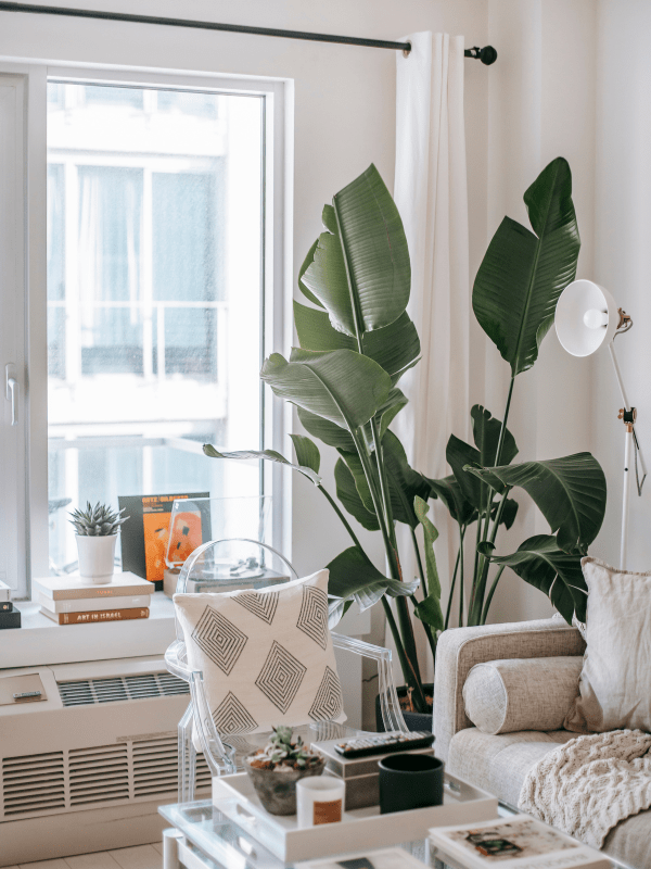 1 home decor products online in raipur