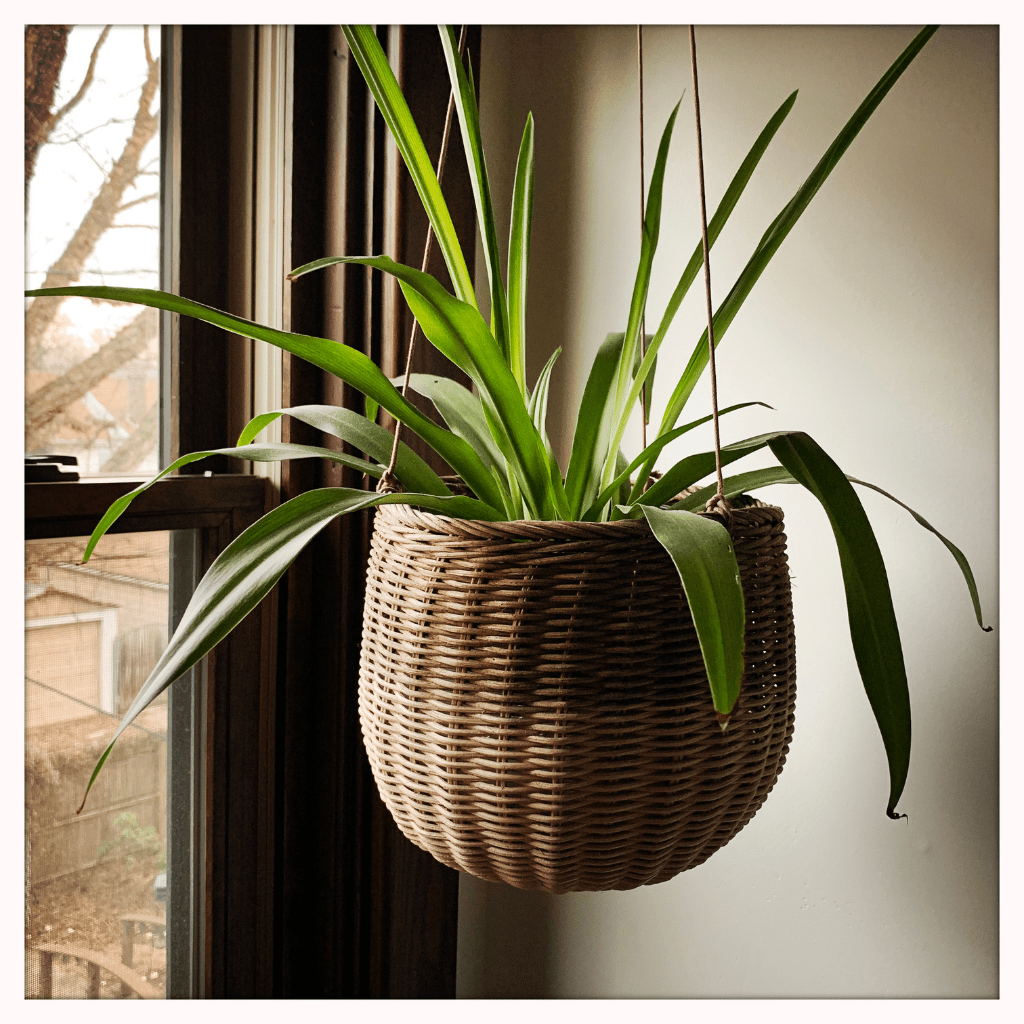 home decor products online in raipur