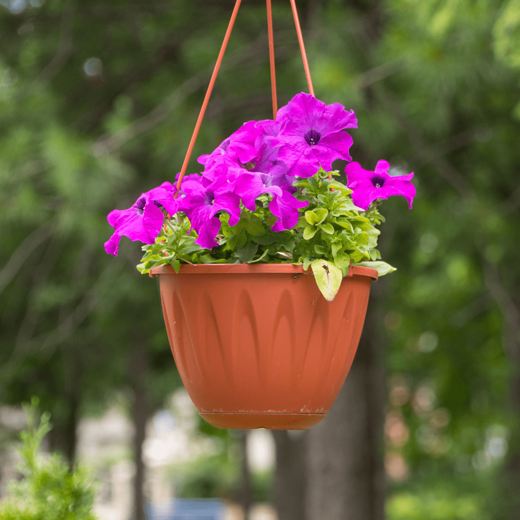 home decor products online in raipur