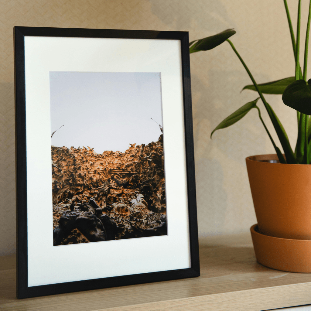 home decor products online in raipur