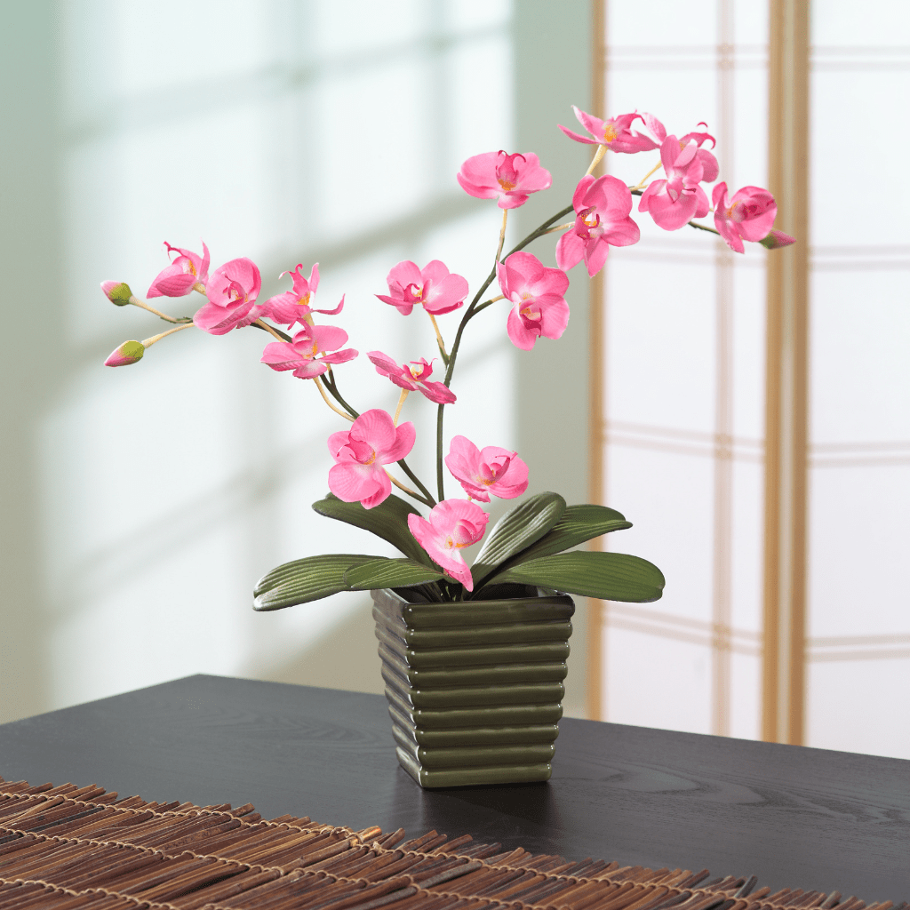 home decor products online in raipur