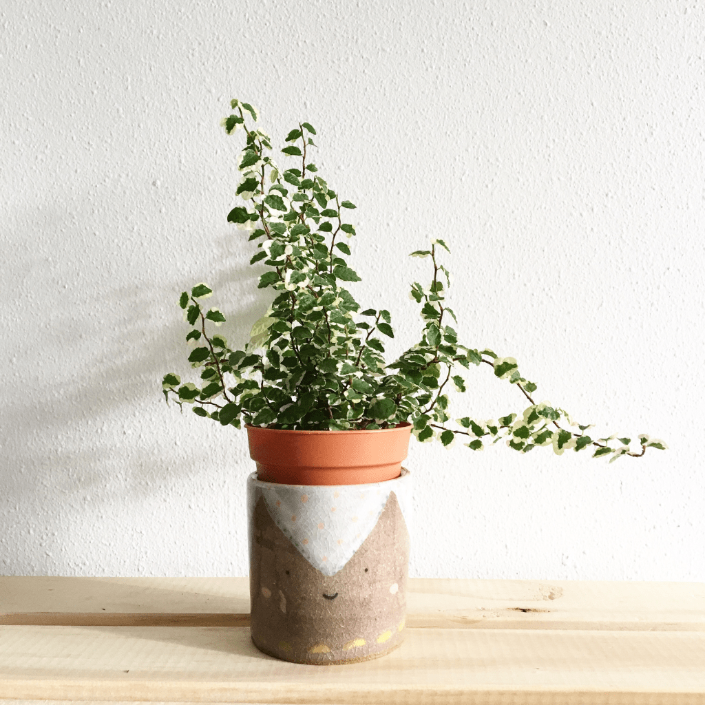 home decor products online in raipur
