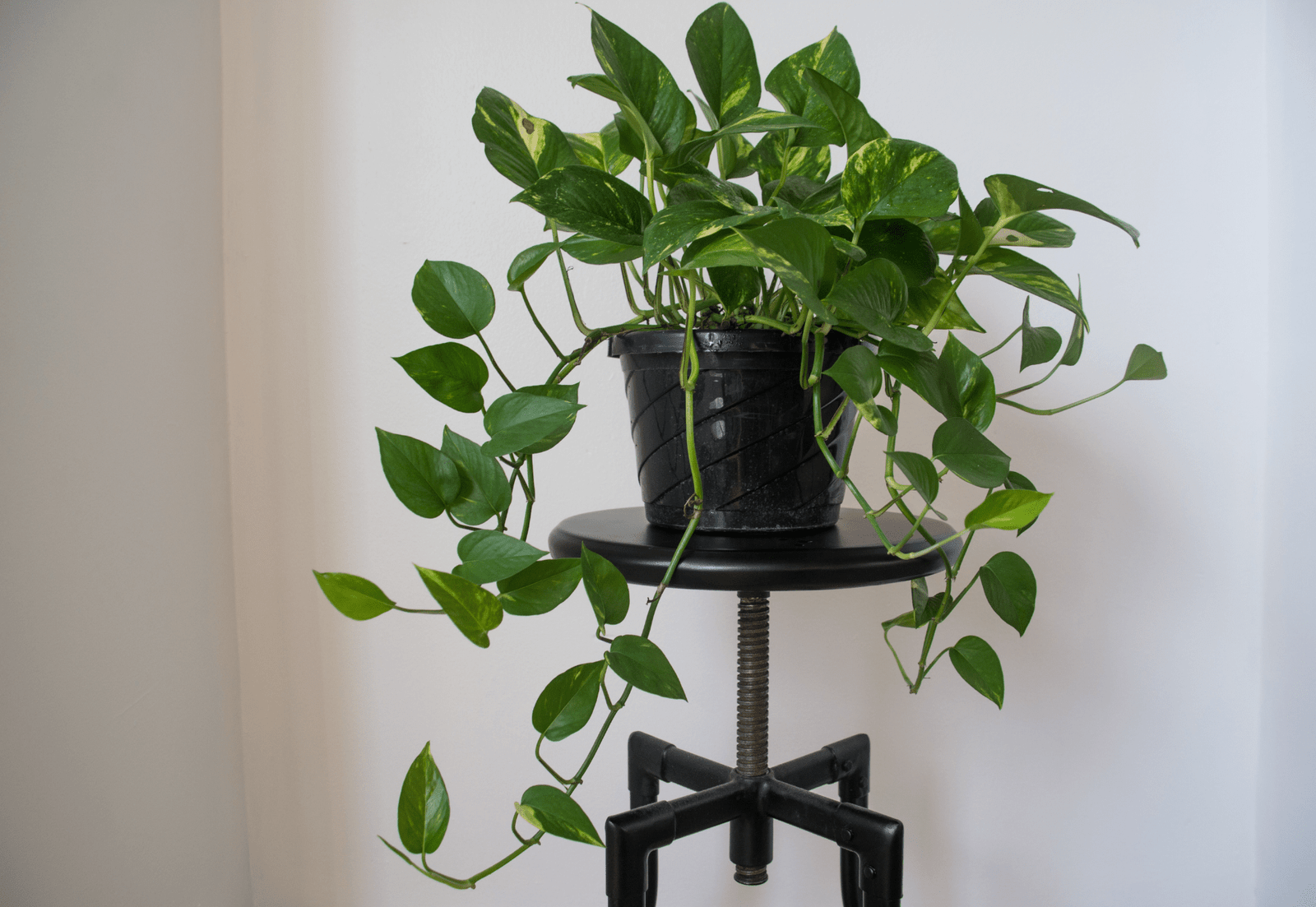 home decor products online in raipur